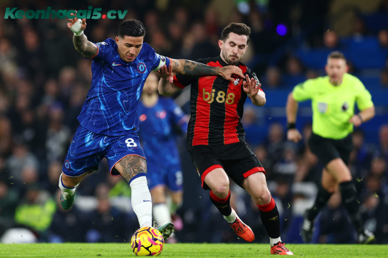 Đội hình dự kiến trước trận Bournemouth vs Chelsea Đội hình dự kiến trước trận Bournemouth vs Chelsea