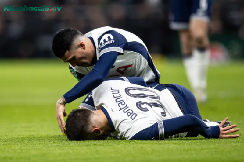 Đội hình dự kiến trước trận Crystal Palace vs Tottenham Đội hình dự kiến trước trận Crystal Palace vs Tottenham