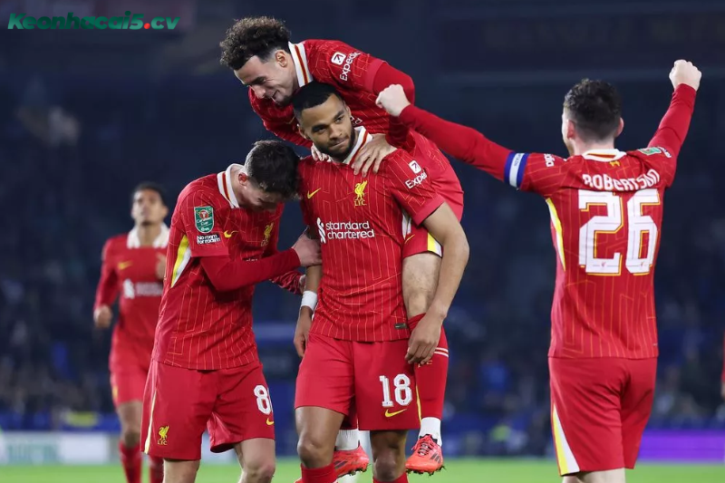 Đội hình dự kiến trước trận Liverpool vs Brighton Đội hình dự kiến trước trận Liverpool vs Brighton