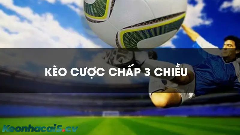 Kèo cược chấp 3 chiều mở ra cho người chơi 3 khả năng đặt cược cho 1 thị trường chấp Kèo cược chấp 3 chiều mở ra cho người chơi 3 khả năng đặt cược cho 1 thị trường chấp