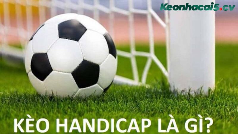  Kèo handicap là gì? Có những bí quyết nào giúp chơi kèo handicap hiệu quả?